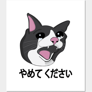 Yamete Kudasai Meme Crying Cat Yamero Japanese Words Posters and Art